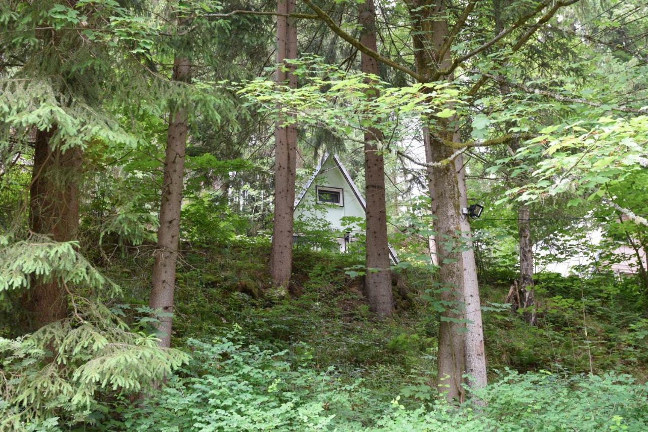 Waldoase Zimmersacher Eibenstock Buitenkant foto